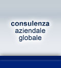 consulenza aziendale