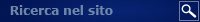 ricerca nel sito
